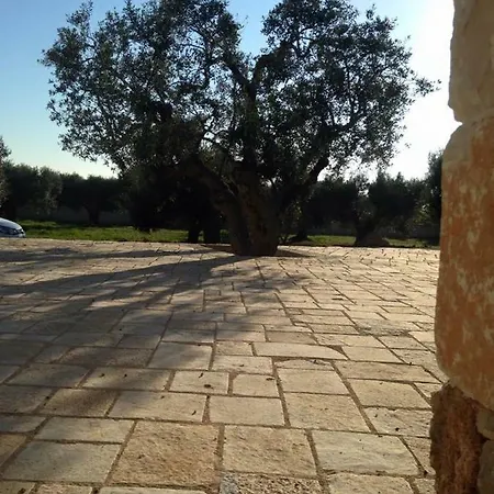 Trullallero Del Salento Racale