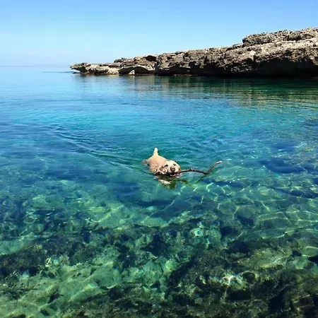 Trullallero Del Salento Σπίτι διακοπών